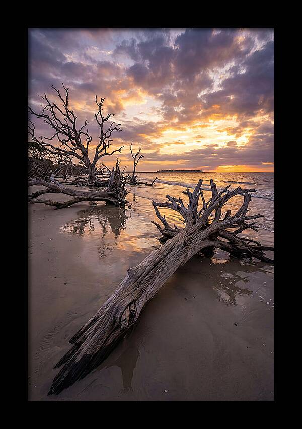 Tranquil Tides At Driftwood Beach