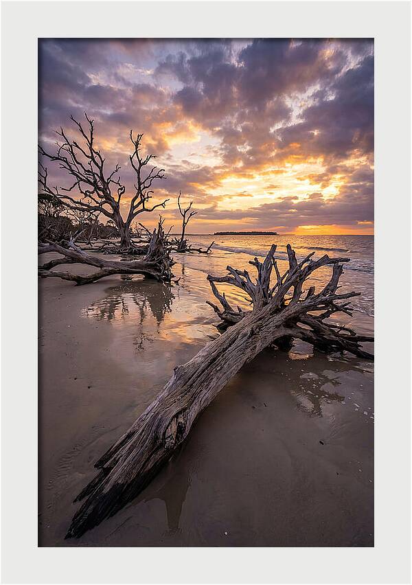 Tranquil Tides At Driftwood Beach