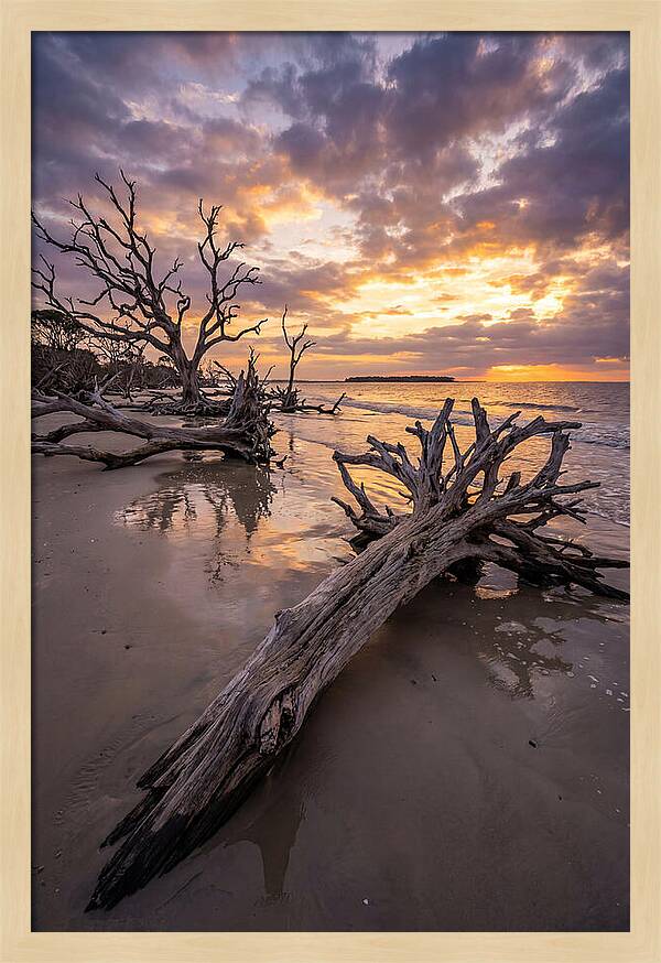 Tranquil Tides At Driftwood Beach