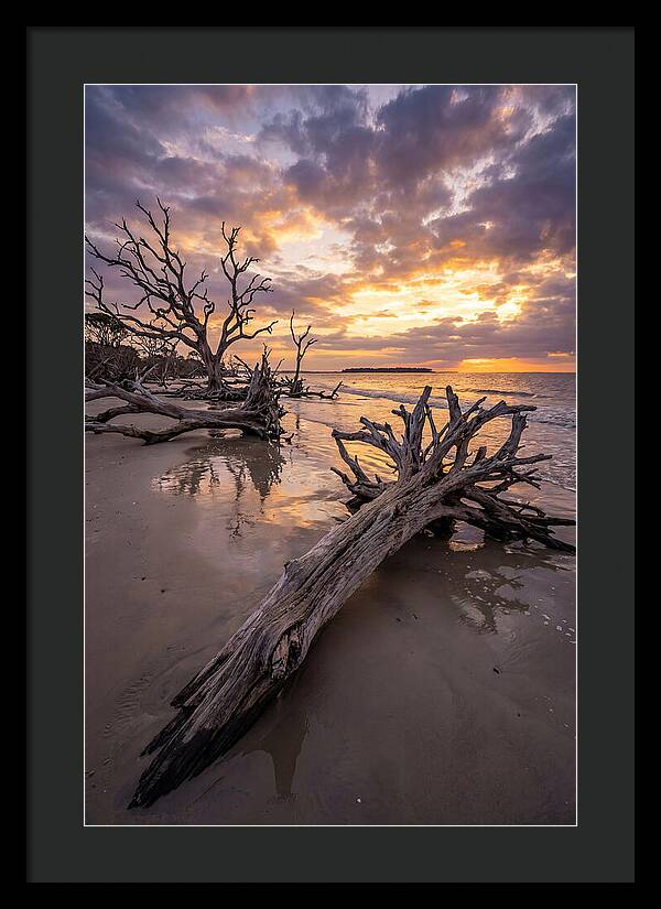 Tranquil Tides At Driftwood Beach