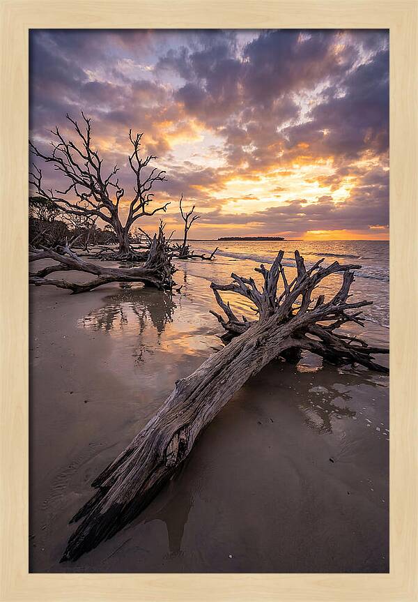 Tranquil Tides At Driftwood Beach