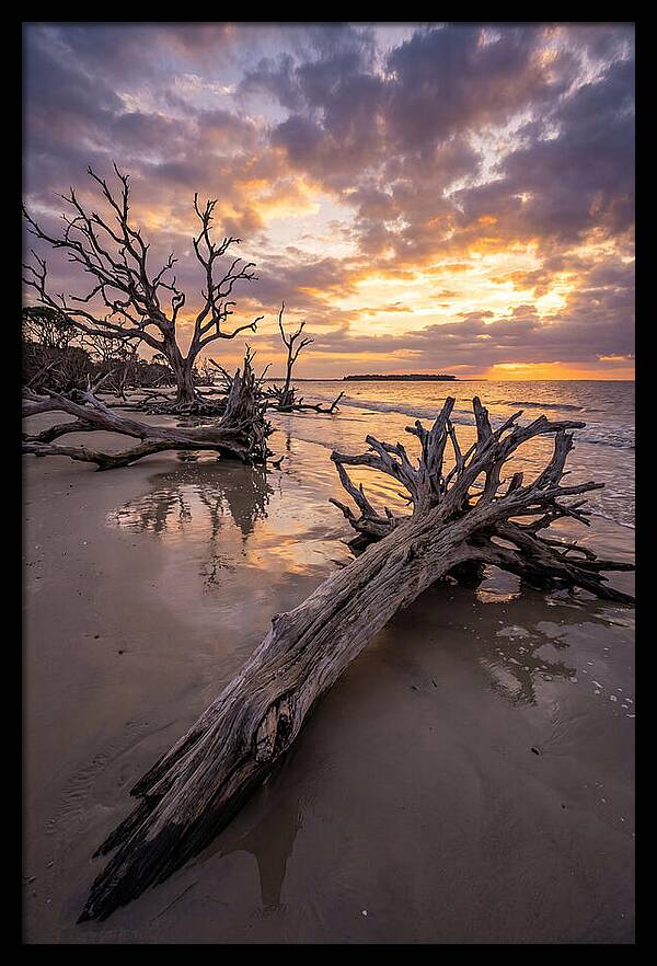 Tranquil Tides At Driftwood Beach