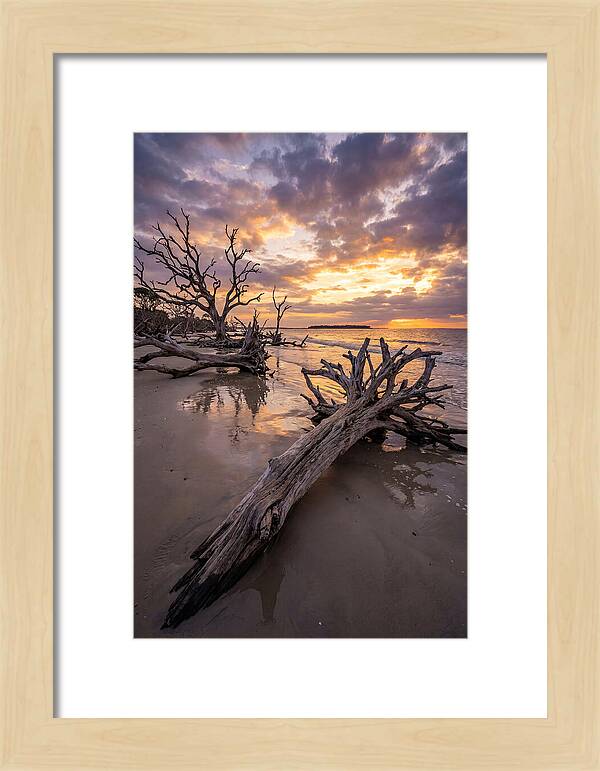 Tranquil Tides At Driftwood Beach