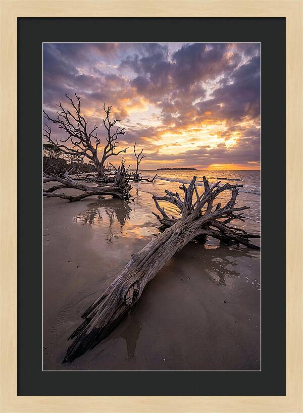 Tranquil Tides At Driftwood Beach