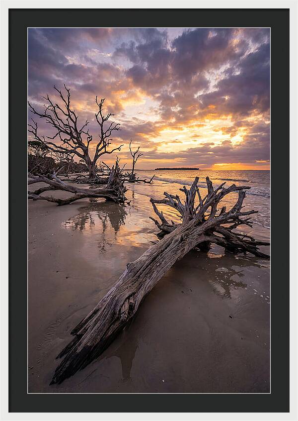 Tranquil Tides At Driftwood Beach