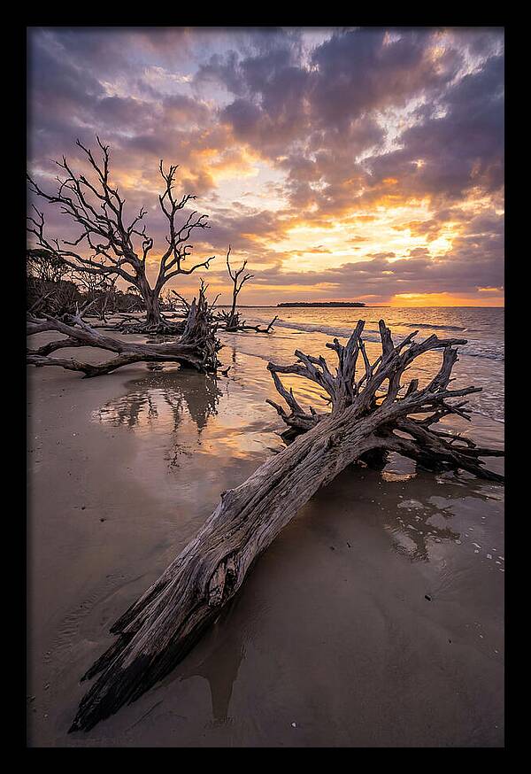 Tranquil Tides At Driftwood Beach