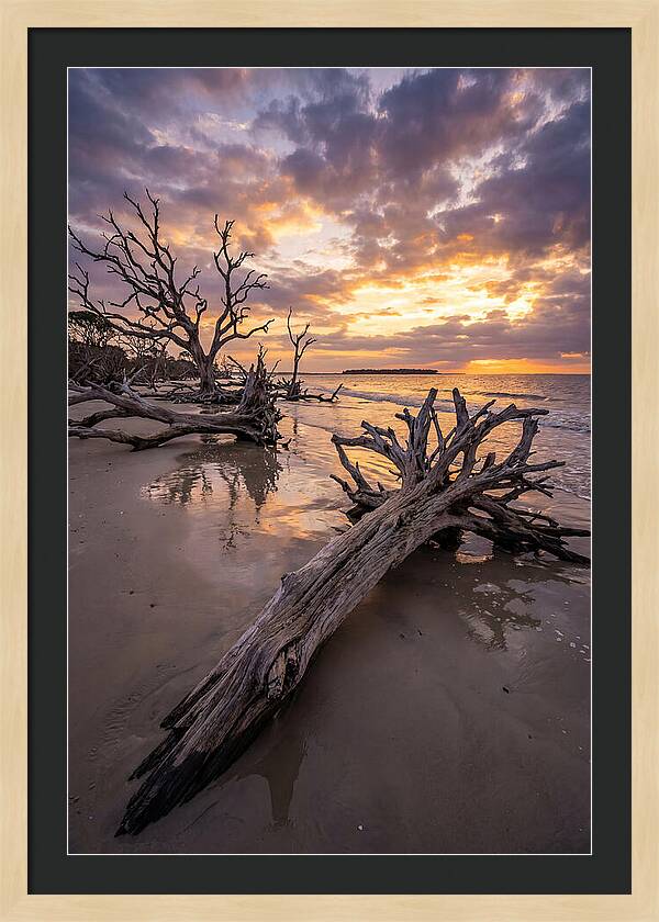 Tranquil Tides At Driftwood Beach