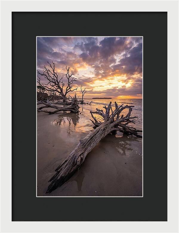 Tranquil Tides At Driftwood Beach