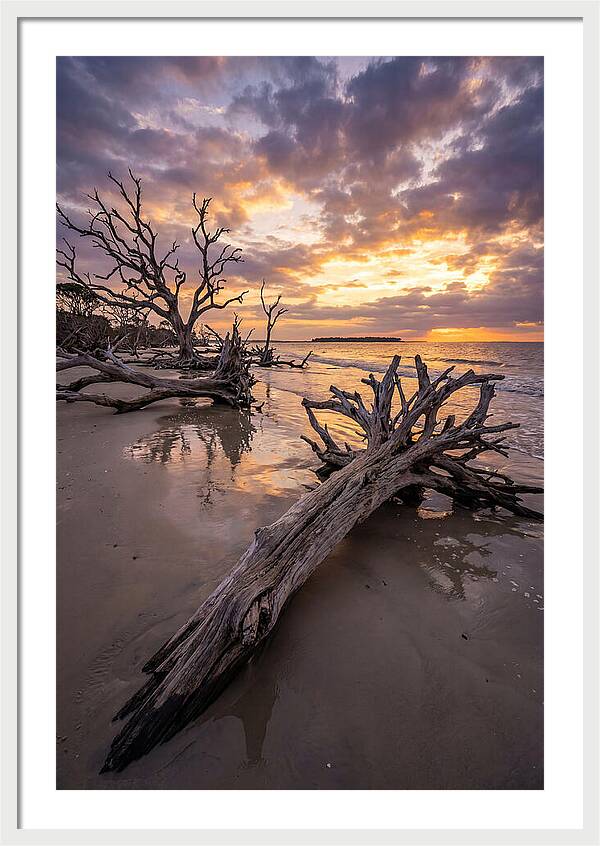 Tranquil Tides At Driftwood Beach
