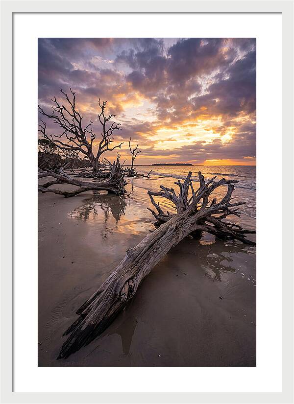 Tranquil Tides At Driftwood Beach