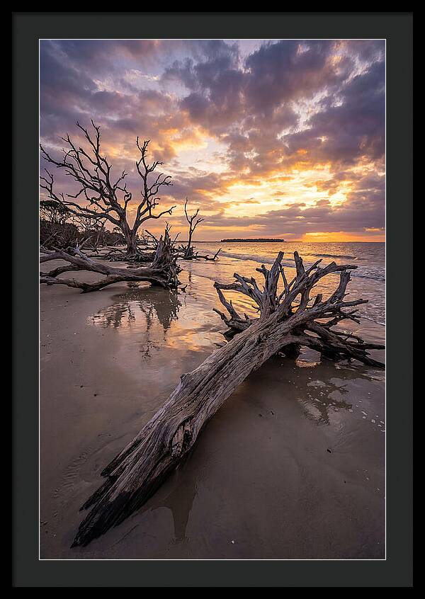 Tranquil Tides At Driftwood Beach