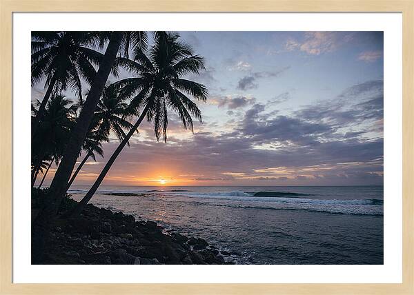 Tranquil Tropics At Dusk