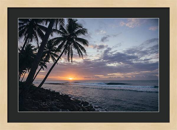 Tranquil Tropics At Dusk