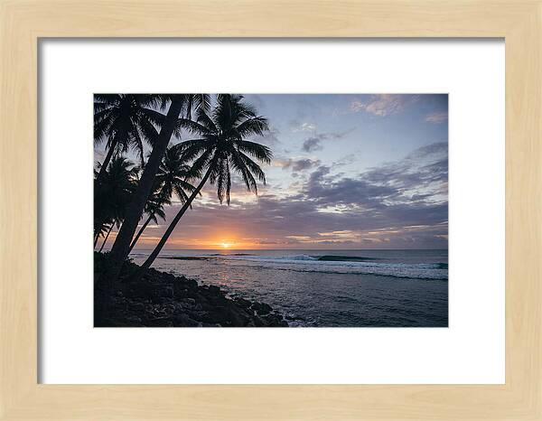 Tranquil Tropics At Dusk