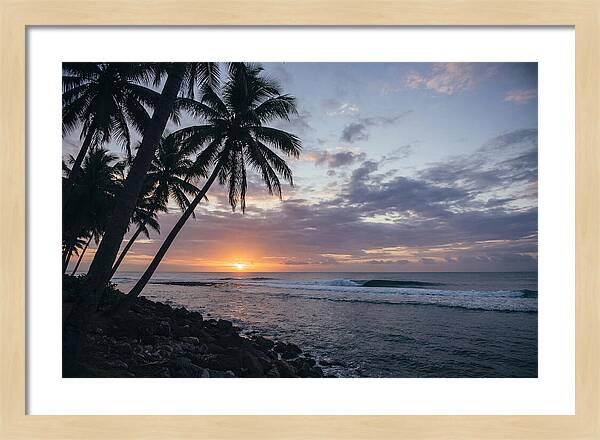 Tranquil Tropics At Dusk