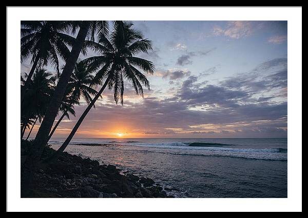 Tranquil Tropics At Dusk