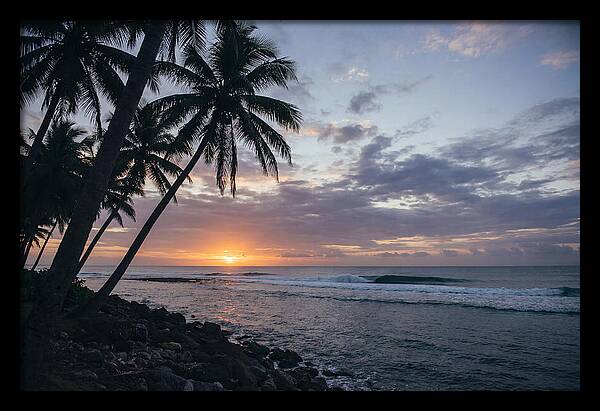 Tranquil Tropics At Dusk