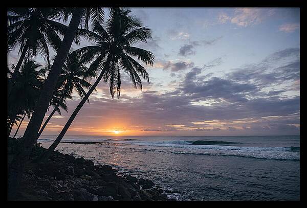Tranquil Tropics At Dusk