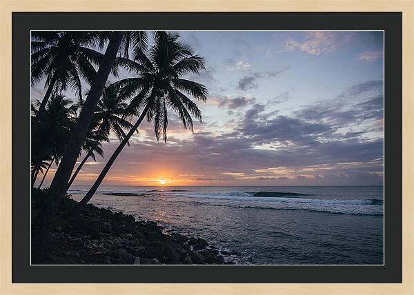 Tranquil Tropics At Dusk