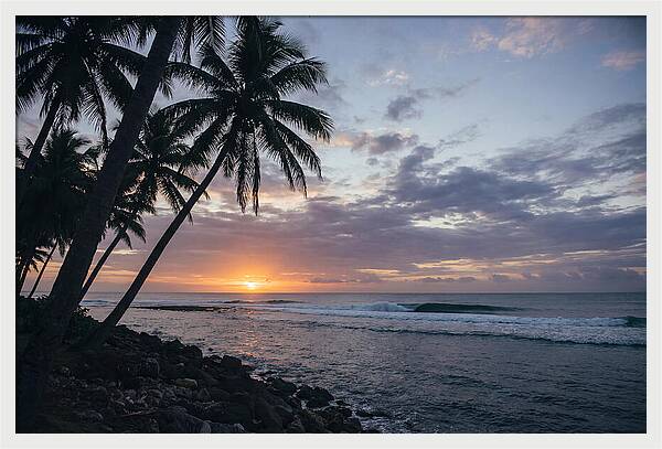 Tranquil Tropics At Dusk