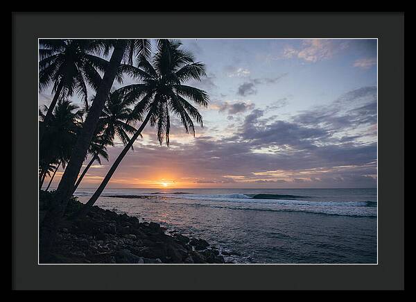 Tranquil Tropics At Dusk