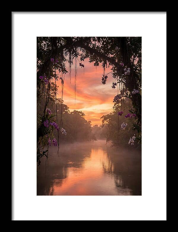 Tranquil Tropics Under Twilight