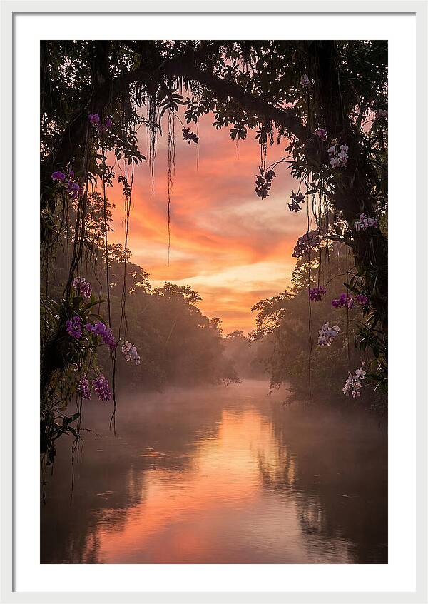 Tranquil Tropics Under Twilight