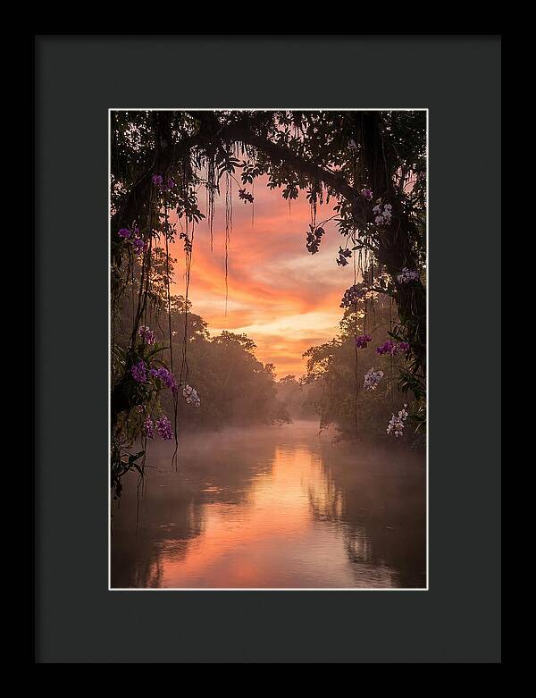 Tranquil Tropics Under Twilight