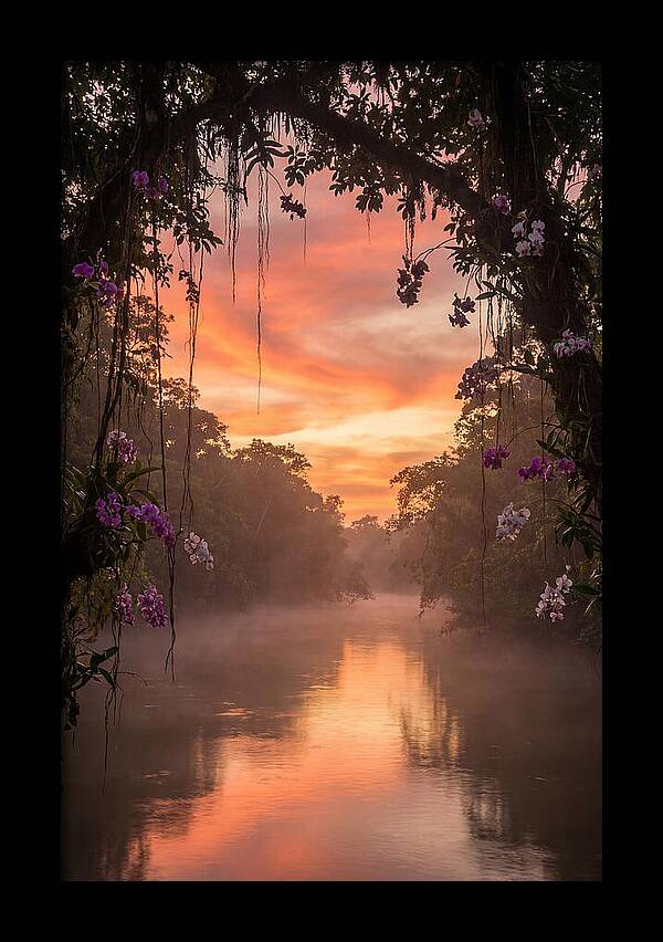 Tranquil Tropics Under Twilight