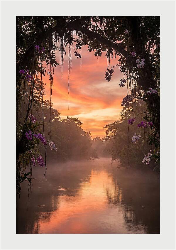 Tranquil Tropics Under Twilight