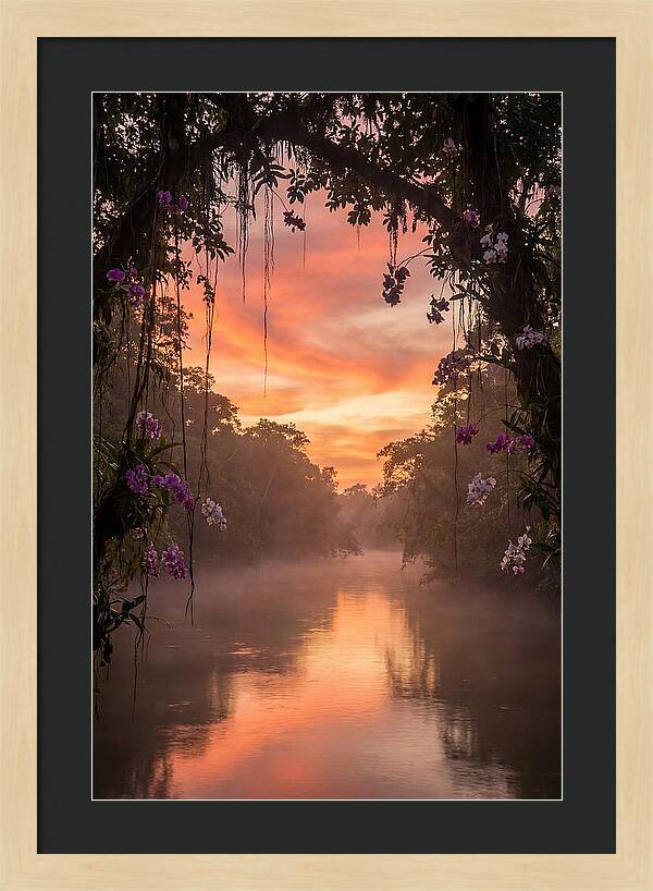 Tranquil Tropics Under Twilight