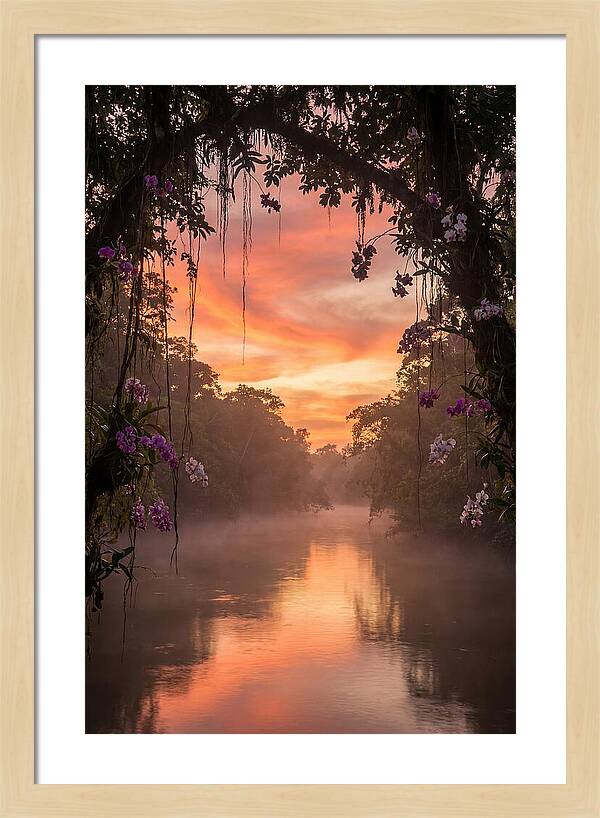 Tranquil Tropics Under Twilight