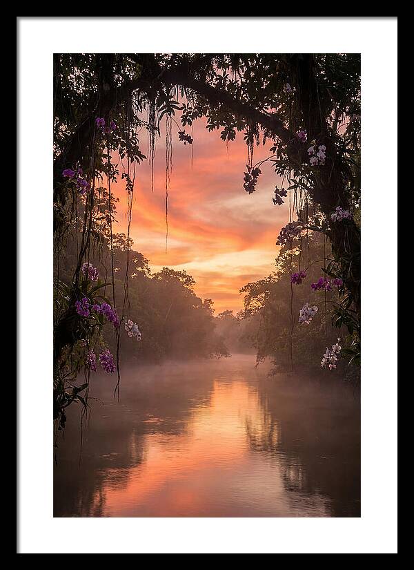 Tranquil Tropics Under Twilight