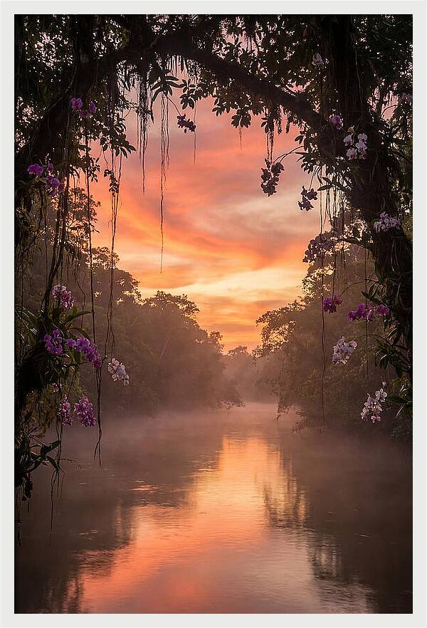 Tranquil Tropics Under Twilight