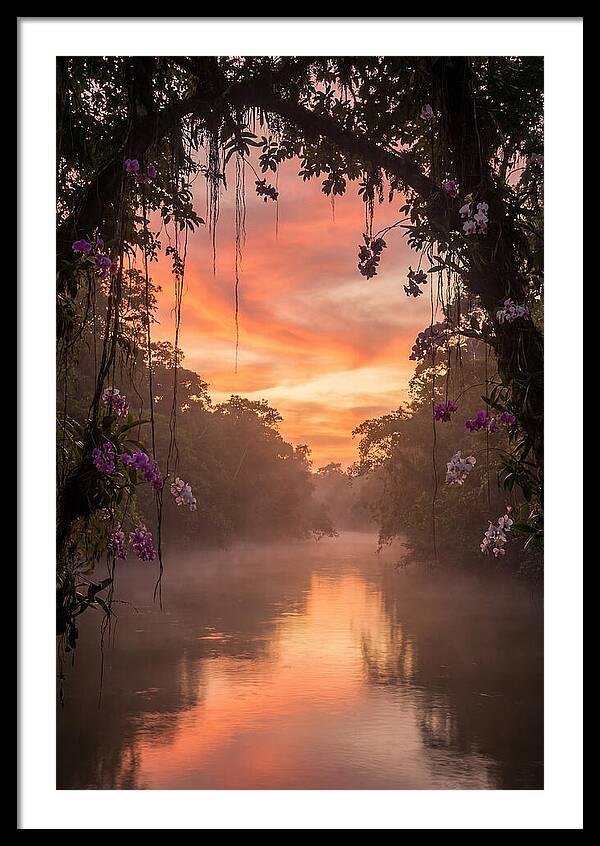 Tranquil Tropics Under Twilight