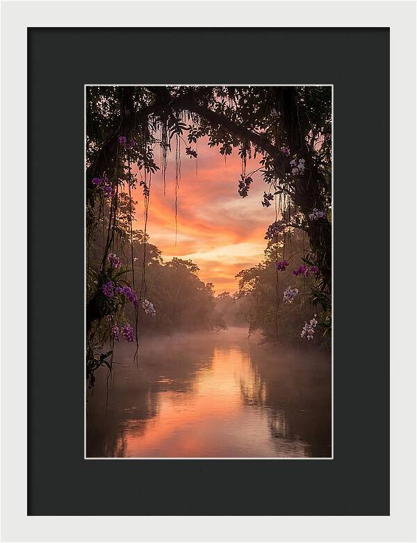 Tranquil Tropics Under Twilight