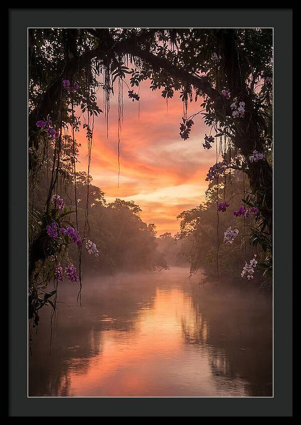 Tranquil Tropics Under Twilight
