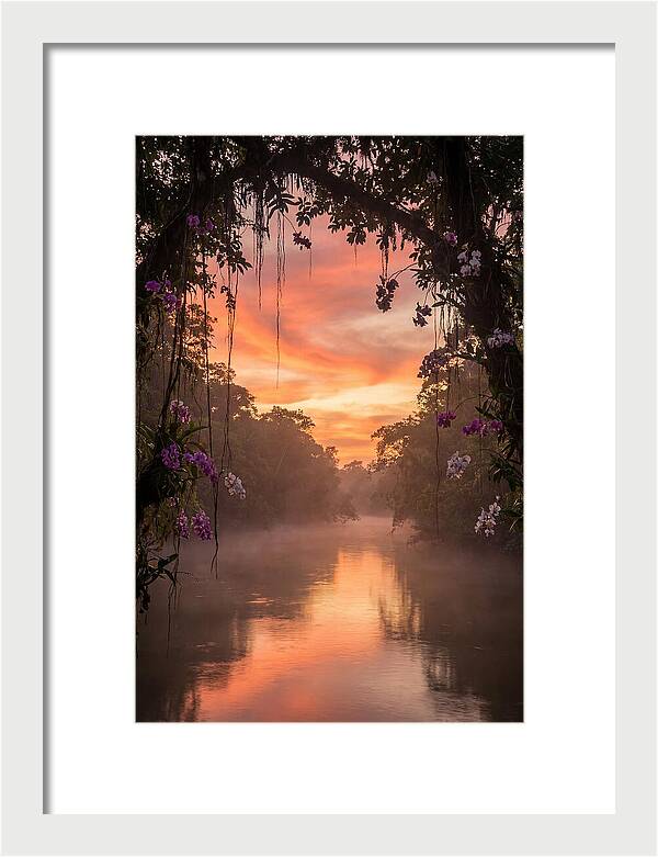 Tranquil Tropics Under Twilight
