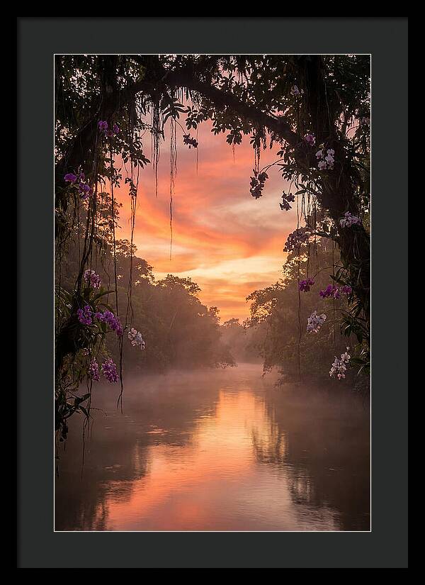 Tranquil Tropics Under Twilight