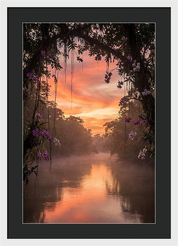 Tranquil Tropics Under Twilight