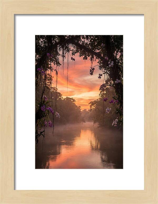 Tranquil Tropics Under Twilight