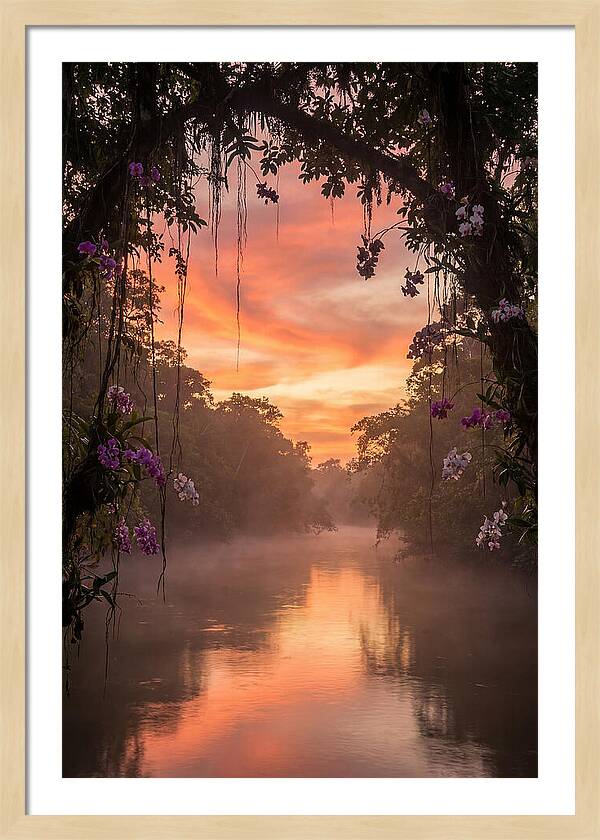 Tranquil Tropics Under Twilight