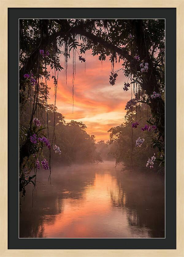 Tranquil Tropics Under Twilight