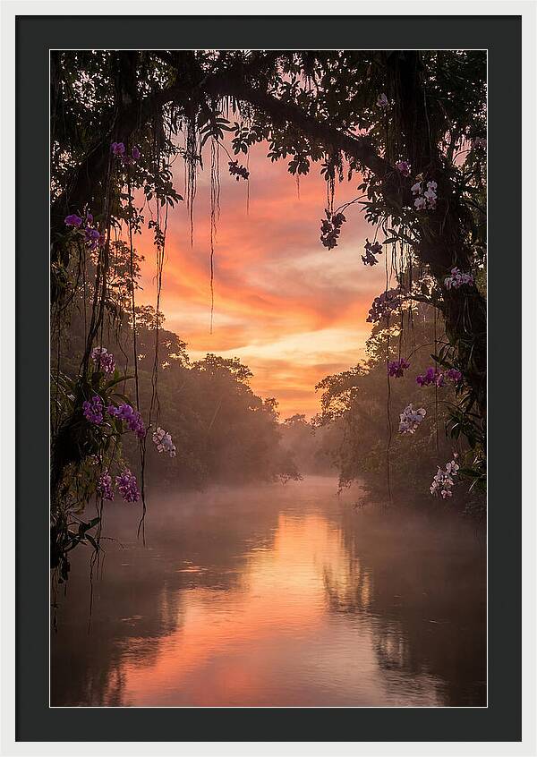Tranquil Tropics Under Twilight