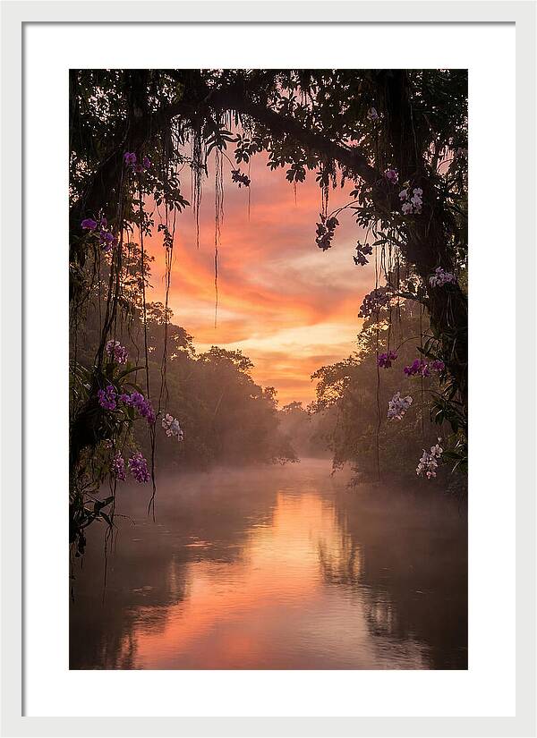 Tranquil Tropics Under Twilight