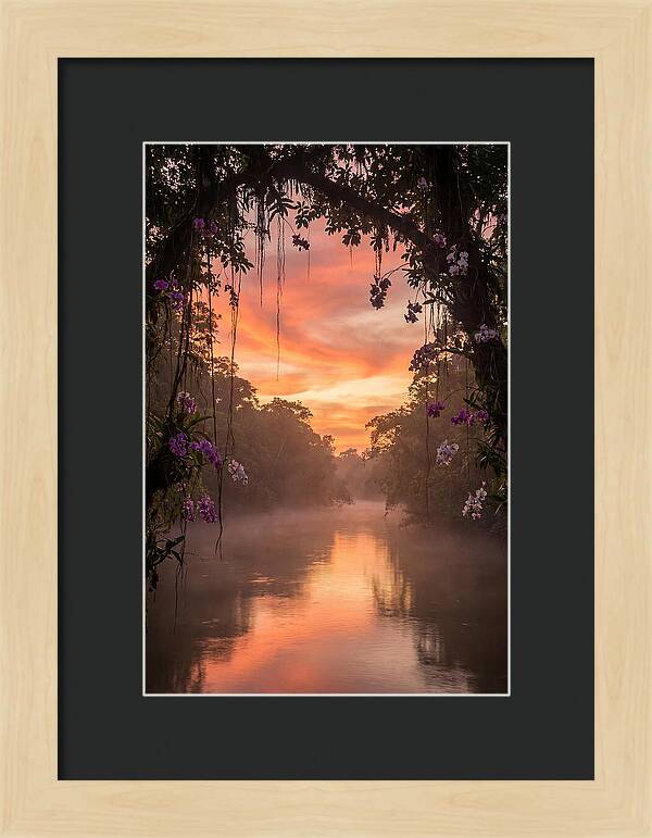 Tranquil Tropics Under Twilight