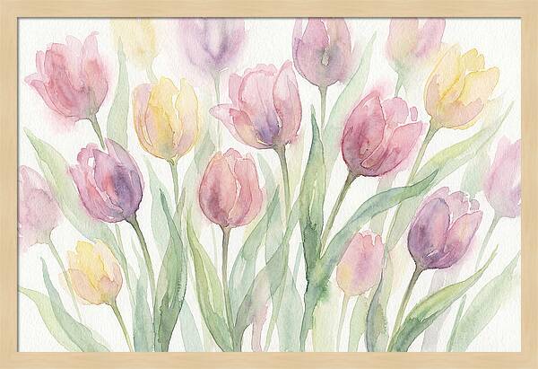 Tranquil Tulip Haven