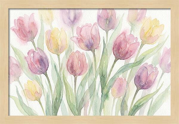 Tranquil Tulip Haven