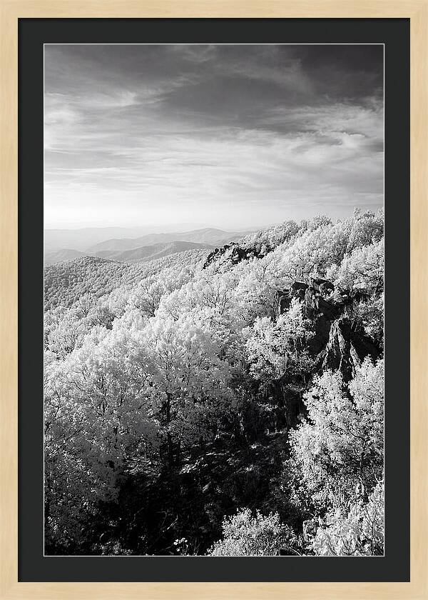 Tranquil Views From Stony Man Summit