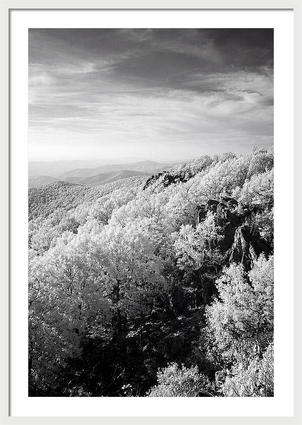 Tranquil Views From Stony Man Summit